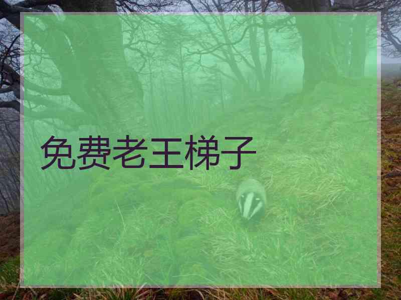 免费老王梯子