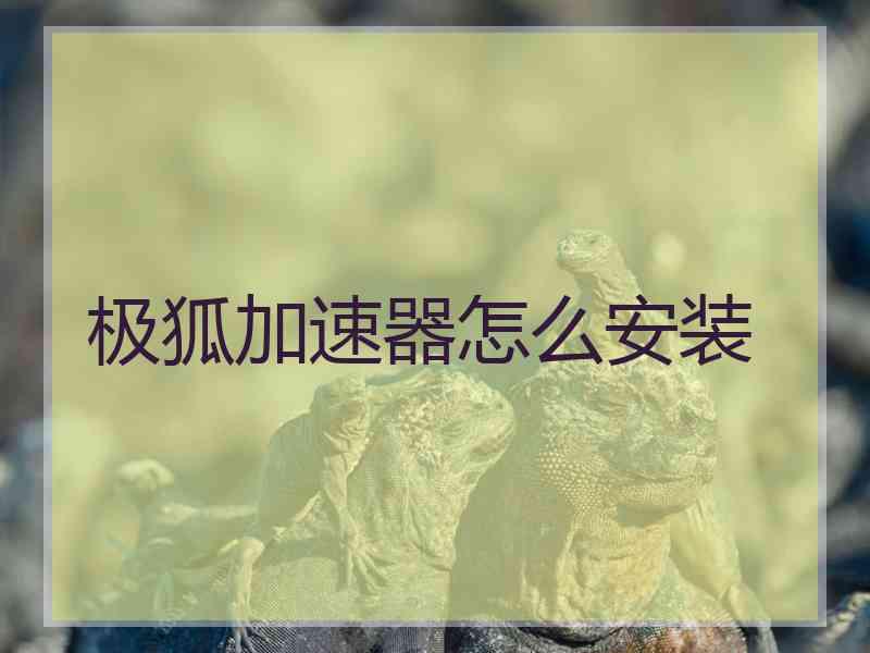 极狐加速器怎么安装