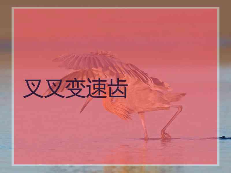 叉叉变速齿