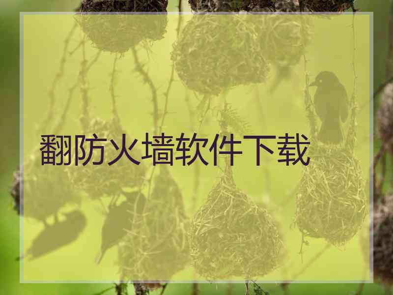翻防火墙软件下载
