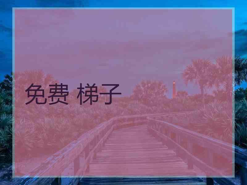 免费 梯子