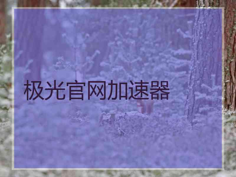 极光官网加速器