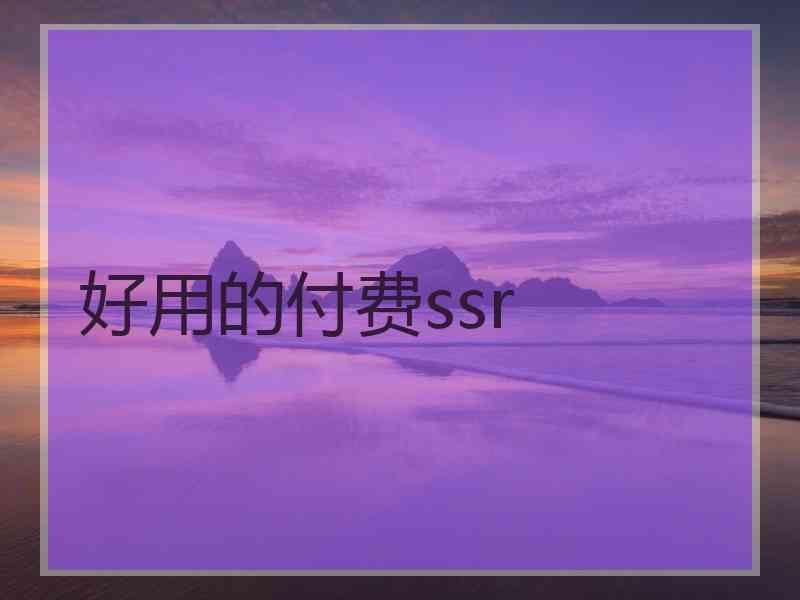 好用的付费ssr