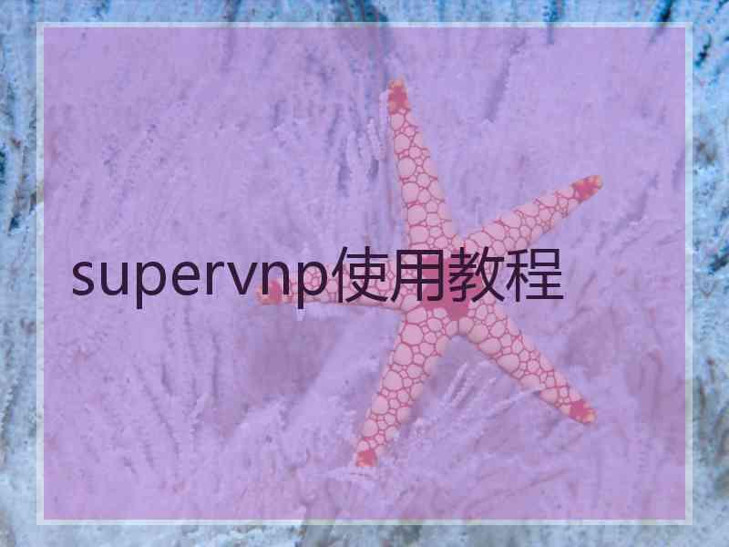 supervnp使用教程