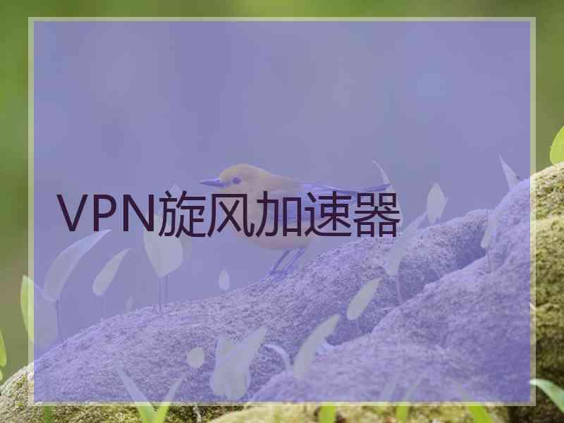 VPN旋风加速器