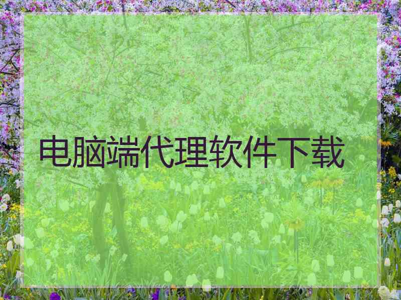 电脑端代理软件下载