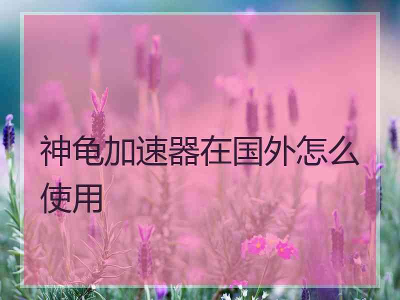神龟加速器在国外怎么使用