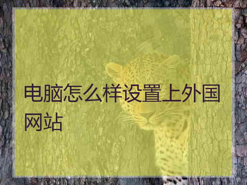 电脑怎么样设置上外国网站