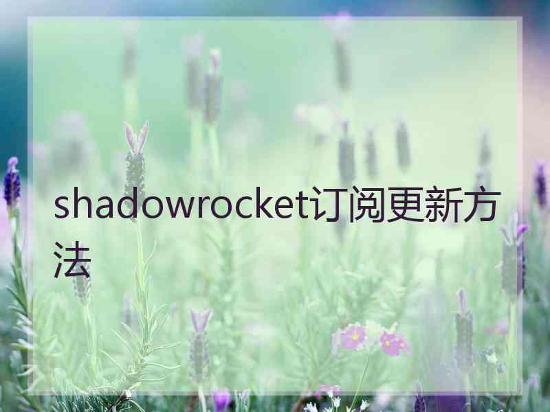 shadowrocket订阅更新方法