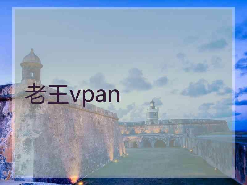 老王vpan