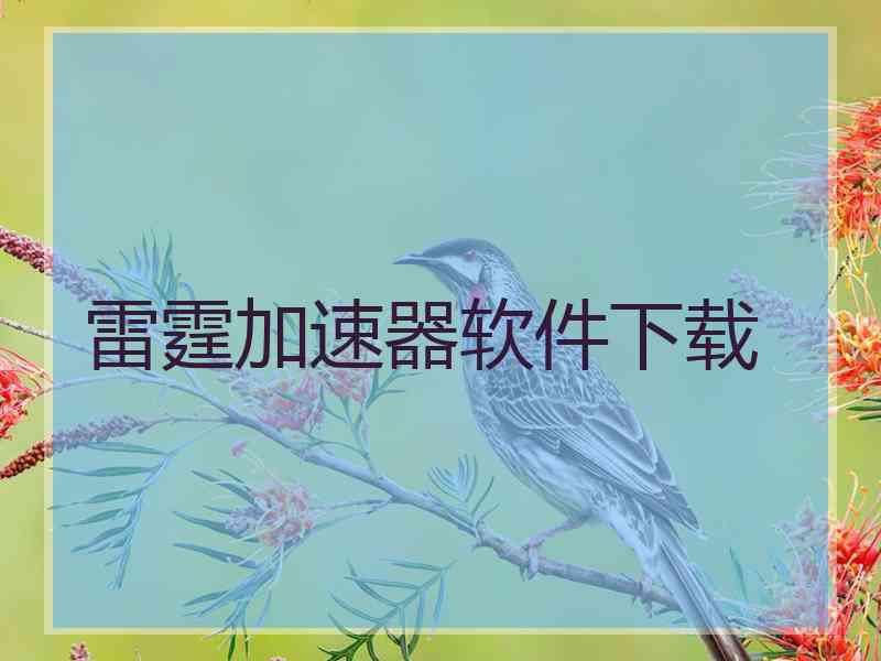 雷霆加速器软件下载