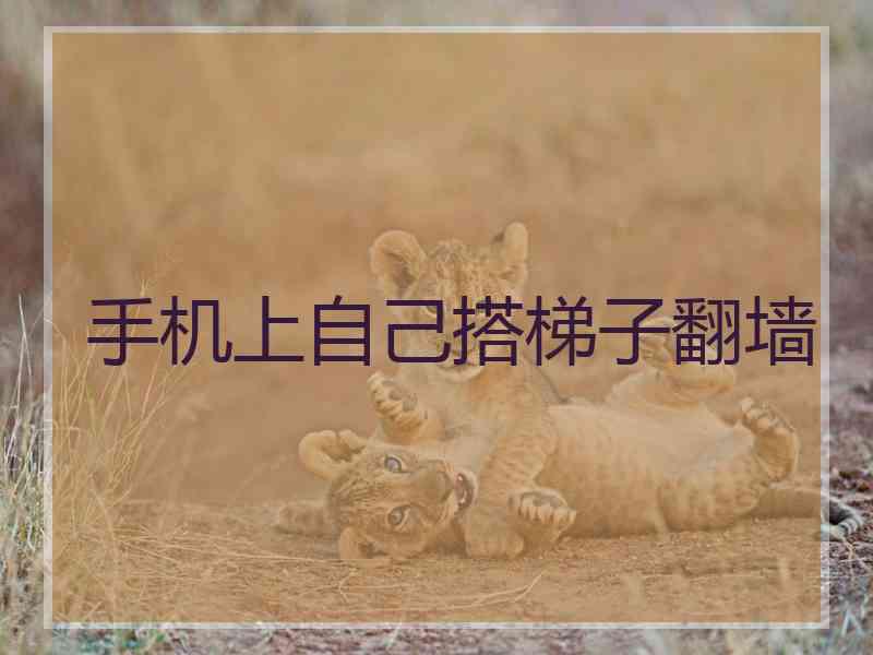 手机上自己搭梯子翻墙