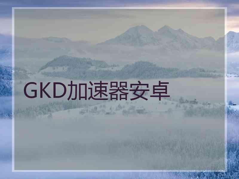 GKD加速器安卓