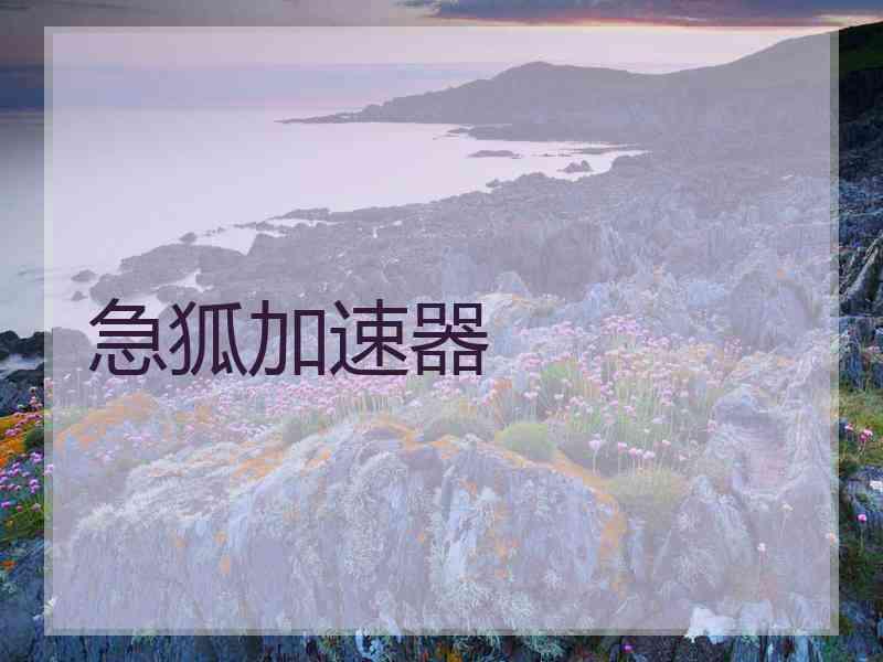 急狐加速器