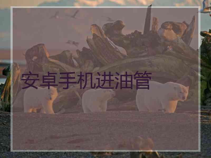 安卓手机进油管