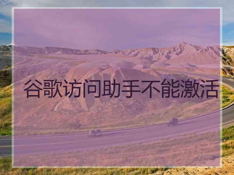 谷歌访问助手不能激活