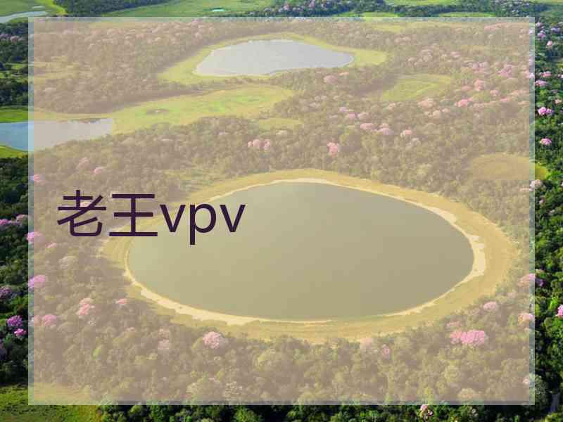 老王vpv