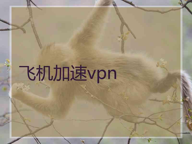 飞机加速vpn