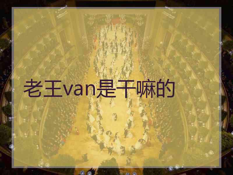 老王van是干嘛的