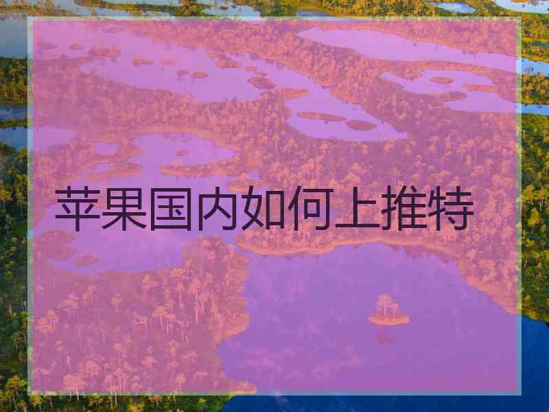 苹果国内如何上推特