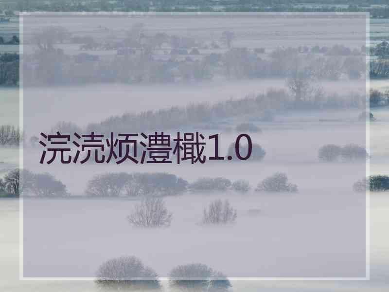 浣涜烦澧檝1.0