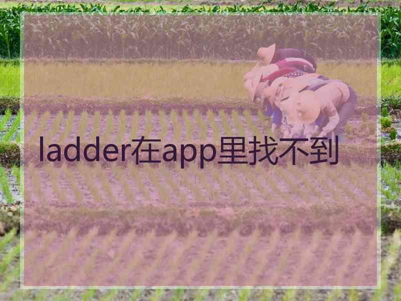 ladder在app里找不到