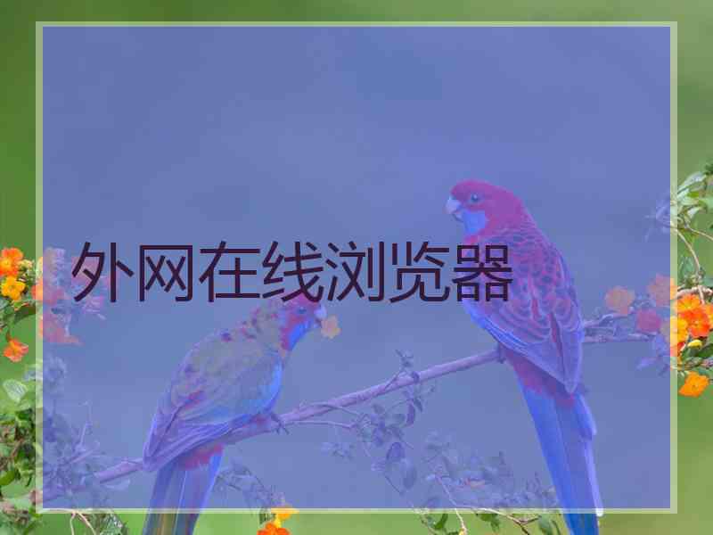 外网在线浏览器