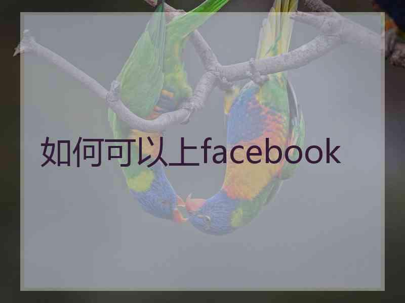 如何可以上facebook