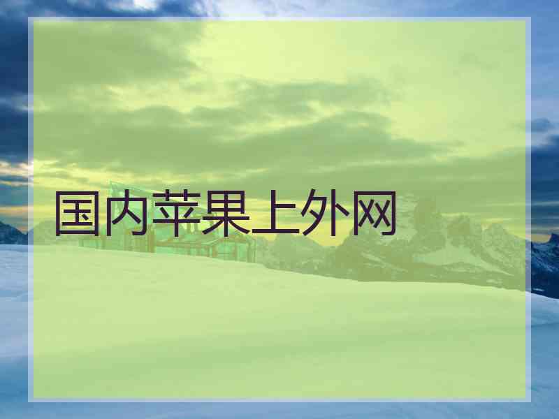 国内苹果上外网