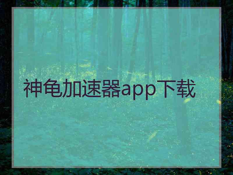 神龟加速器app下载