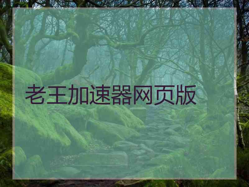 老王加速器网页版