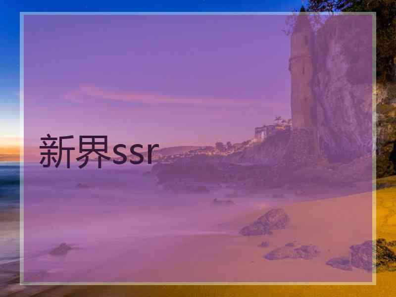 新界ssr
