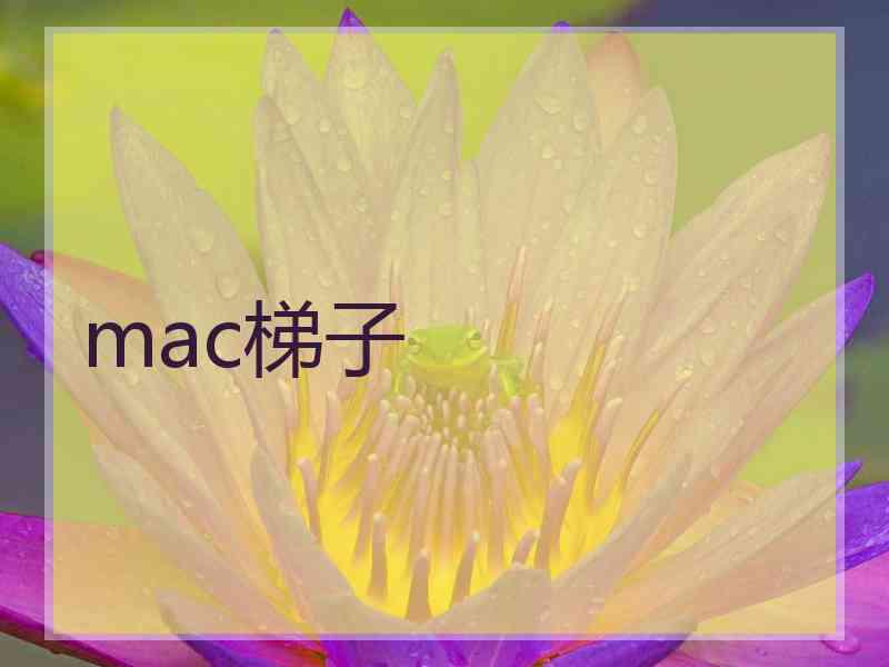 mac梯子