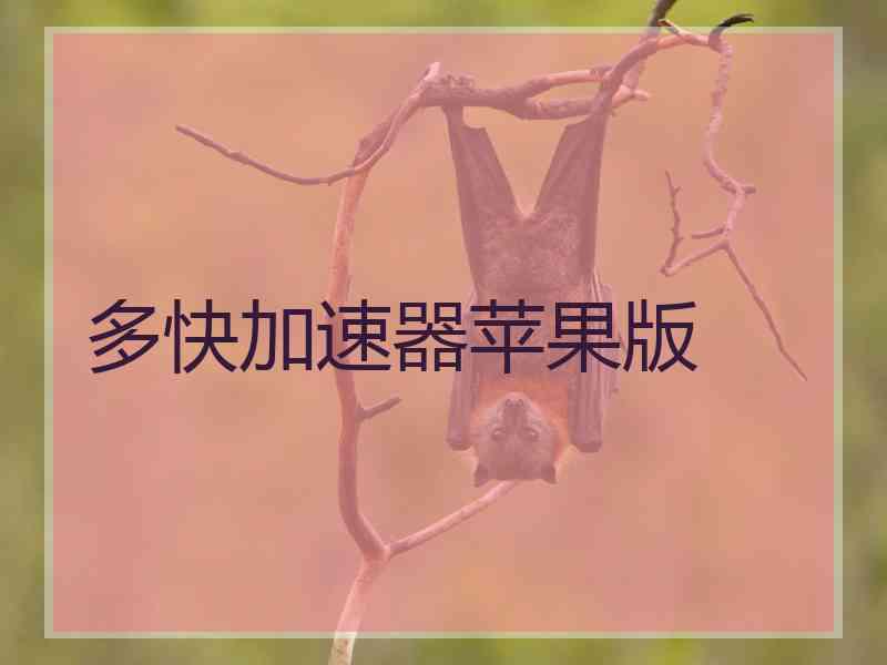 多快加速器苹果版