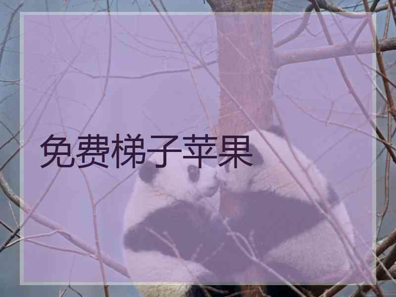 免费梯子苹果