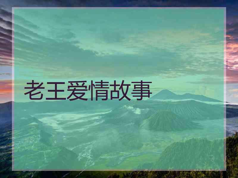 老王爱情故事