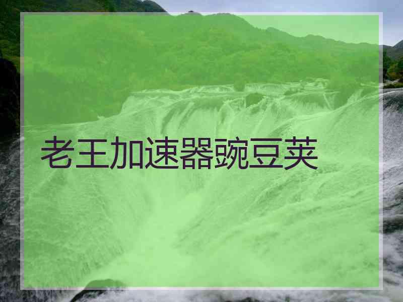 老王加速器豌豆荚