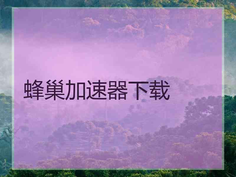 蜂巢加速器下载