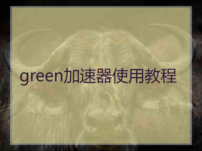 green加速器使用教程