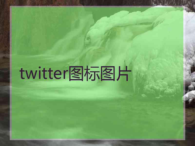 twitter图标图片