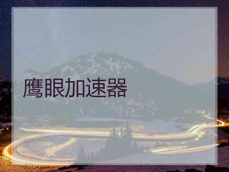 鹰眼加速器