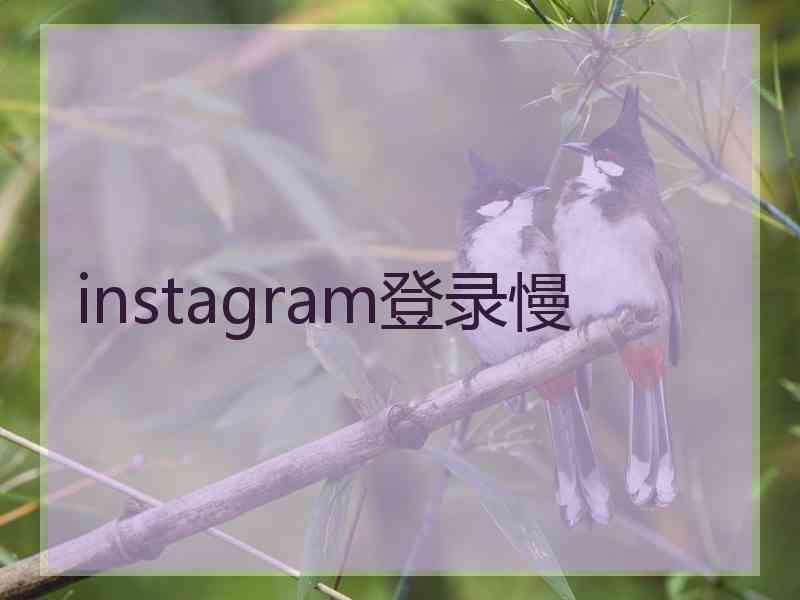 instagram登录慢