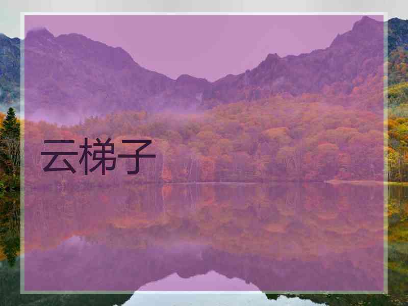 云梯子