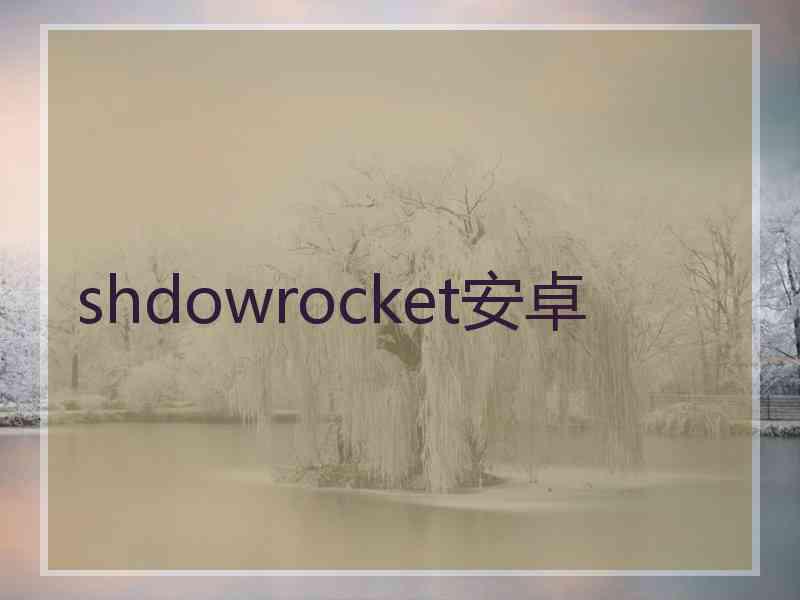 shdowrocket安卓