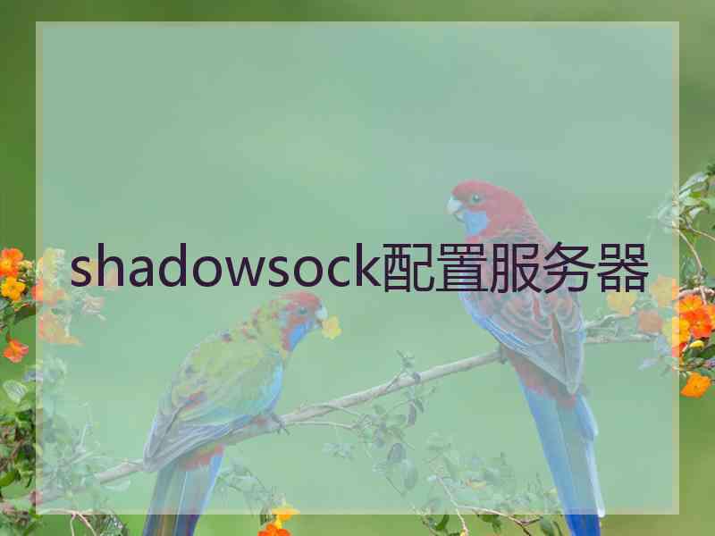 shadowsock配置服务器