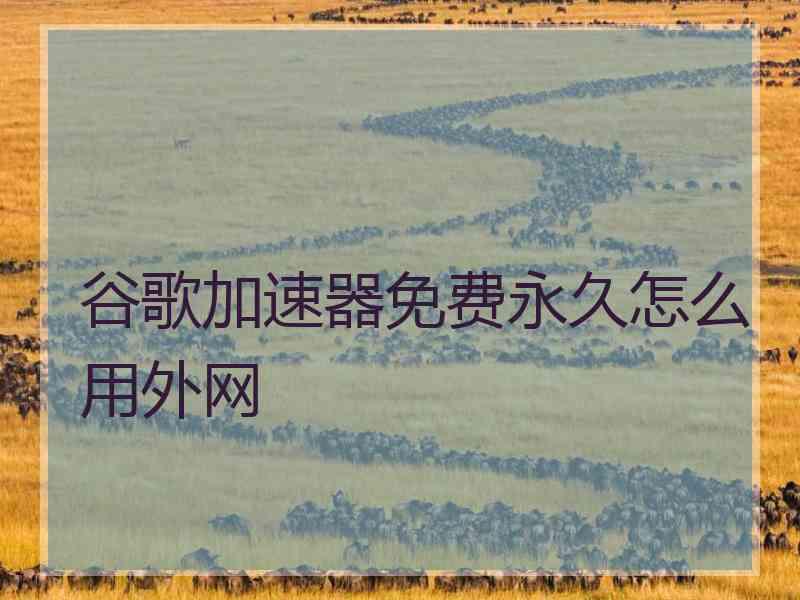 谷歌加速器免费永久怎么用外网