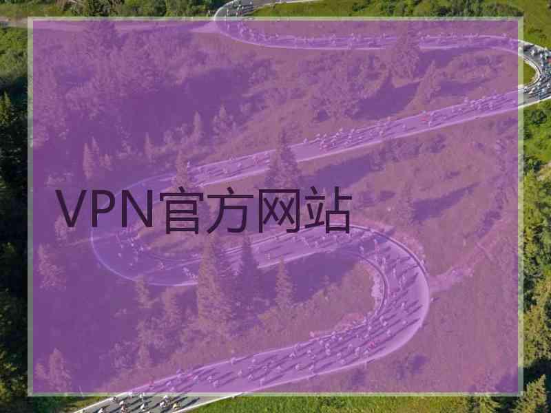 VPN官方网站