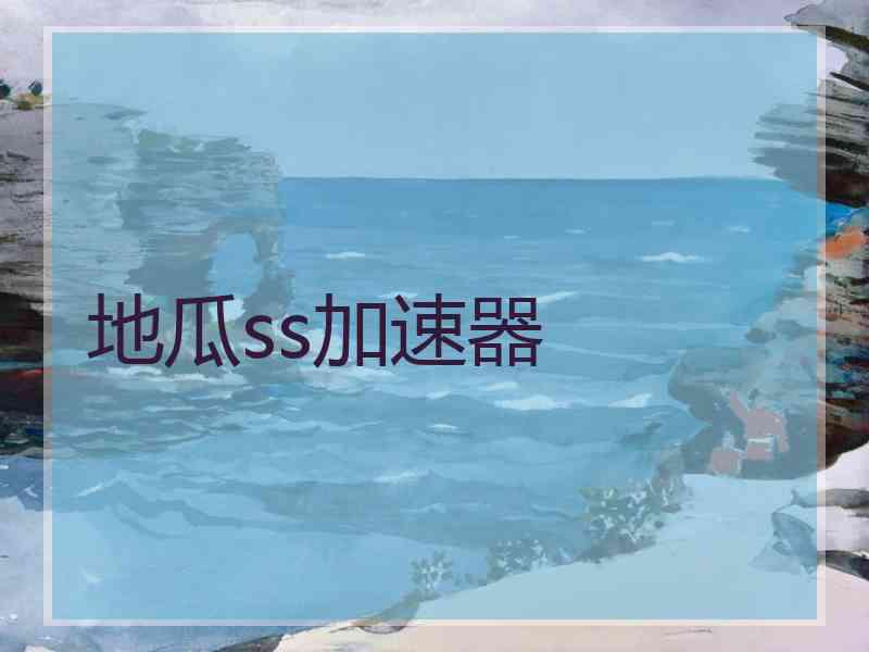 地瓜ss加速器