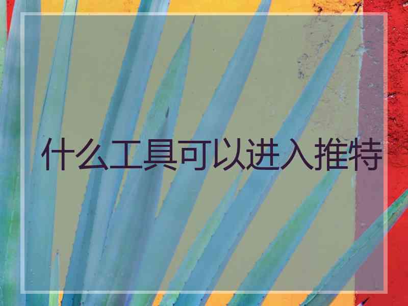 什么工具可以进入推特