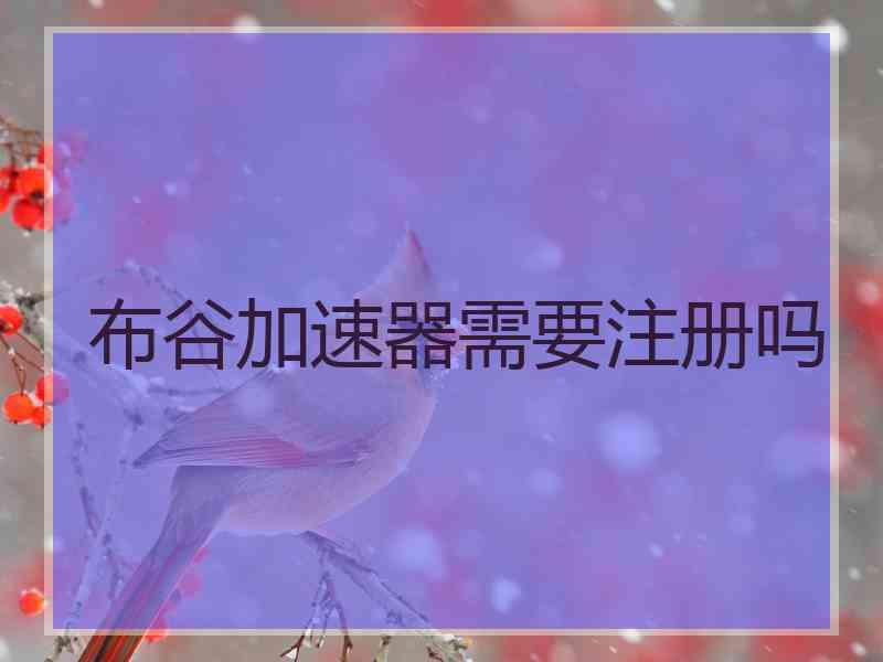布谷加速器需要注册吗